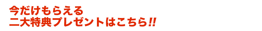 今だけもらえる二大特典プレゼントはこちら